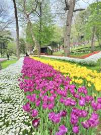 Best OOTD Spot in Istanbul: Gülhane Park
