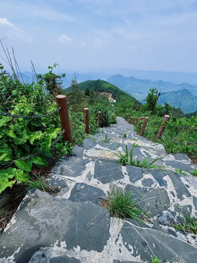 Damushan Forest Park 🌳