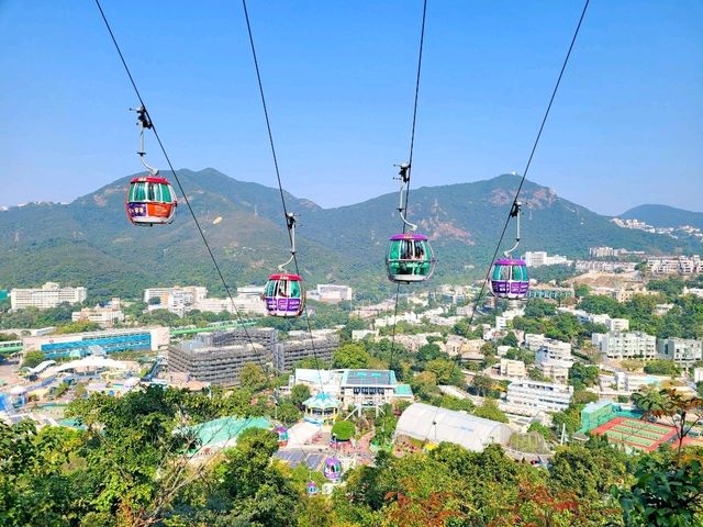 【海洋公園纜車救援徑-->淺水灣 ⭐】