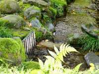 Kenrokuen Garden: A Living Painting in Kanazawa