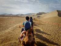 You'll want to ride on the camel again!! 🐫🏜