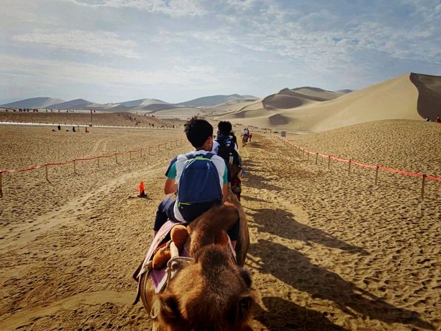 You'll want to ride on the camel again!! 🐫🏜