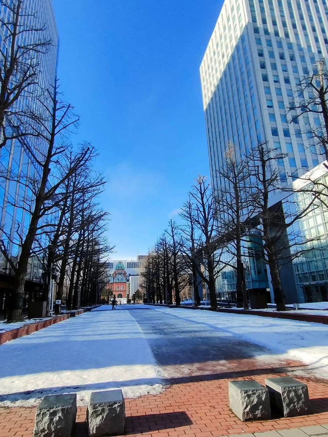 🌨️🏙️ ตึกซัปโปโรกลางหิมะ หนาวแค่ไหนก็หลงรัก