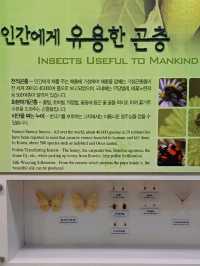 방학에 꼭 가봐야 할 자연사 핫플!