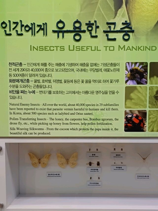 방학에 꼭 가봐야 할 자연사 핫플!