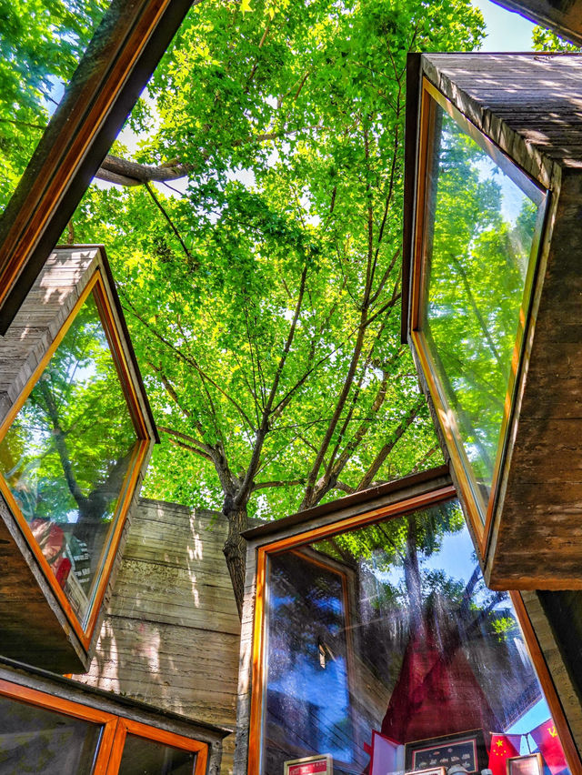 🏮Beijing Hutong Citywalk 