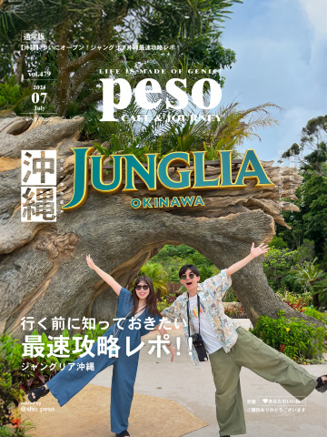 1mi0p224x93ff9752564C.jpg?proc