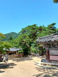 마음이 정화되는 곳🌿