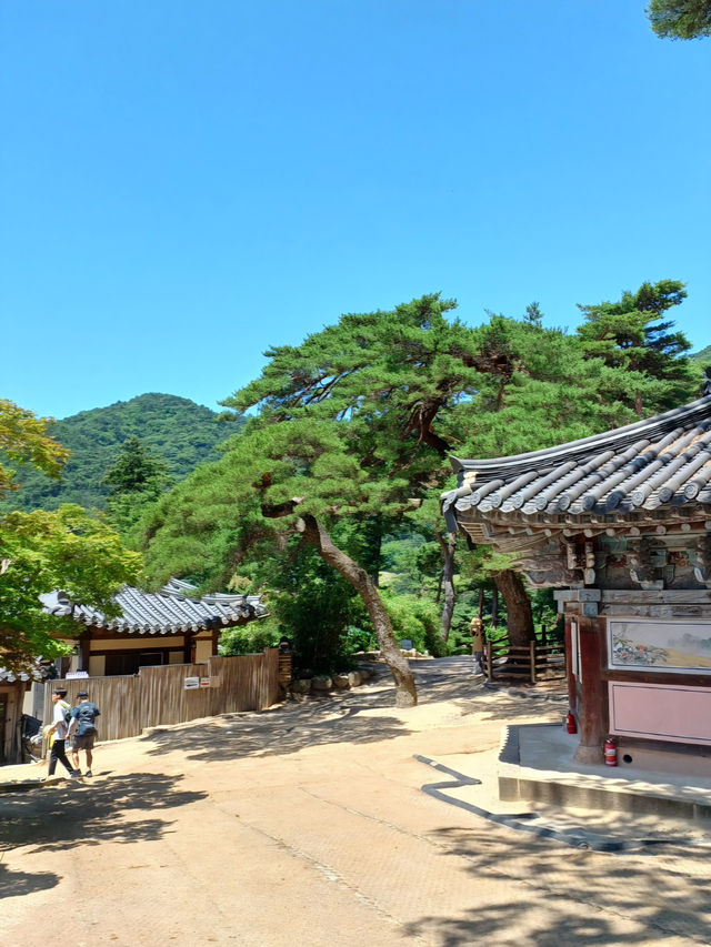마음이 정화되는 곳🌿