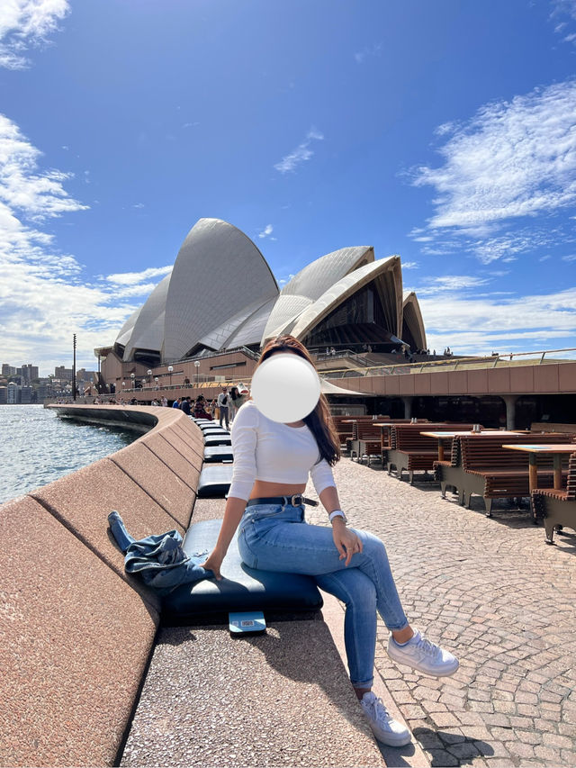 【シドニーで“無料”で楽しむ！おすすめアクティビティ5選🇦🇺】