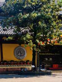 Shanghai's Oldest and Most Majestic Buddhist Sanctuary