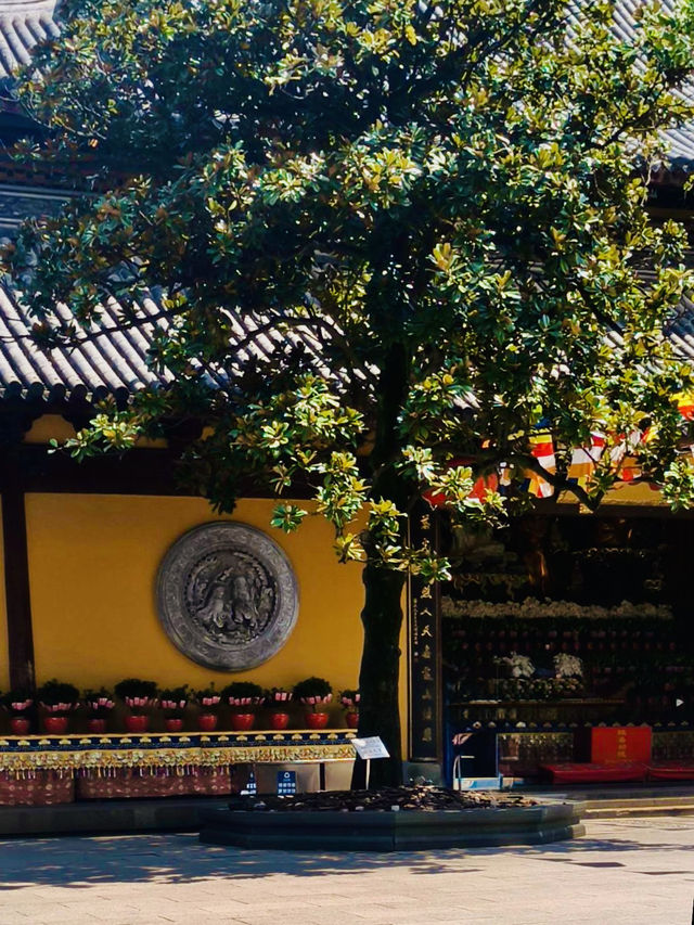 Shanghai's Oldest and Most Majestic Buddhist Sanctuary