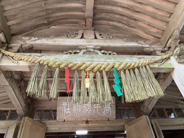 【宮崎・高千穂町】⛩️高千穂神社〜縁を結び心を結ぶ夫婦杉〜
