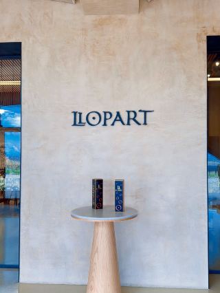 유럽 여행 가이드 🍷 스페인 와이너리 투어