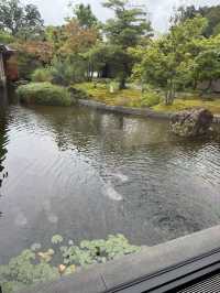 【ご褒美旅の正解、鳥羽別邸】