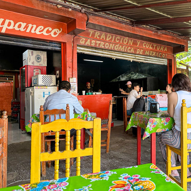 ✨멕시코 툴룸 로컬 맛집 El Rincon Chiapaneco✨