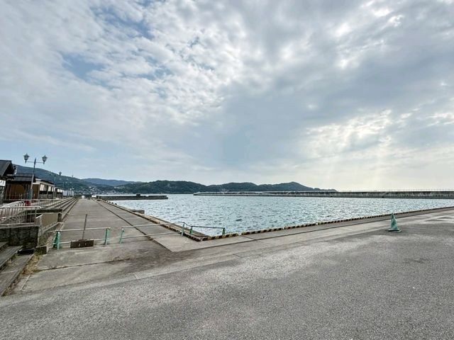 日本|⚓ 和歌山港通往四國與海景的門戶** 日本|⚓ 和歌山港通往四國與海景的門戶**
