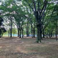 Yoyogi Park