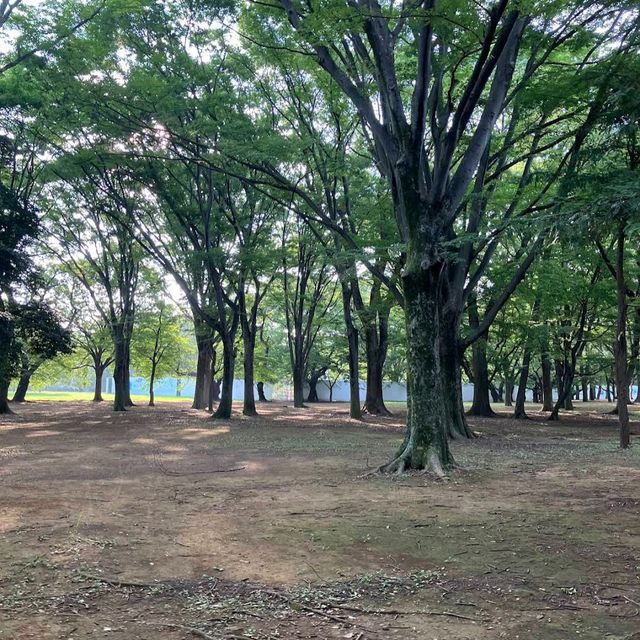 Yoyogi Park Yoyogi Park