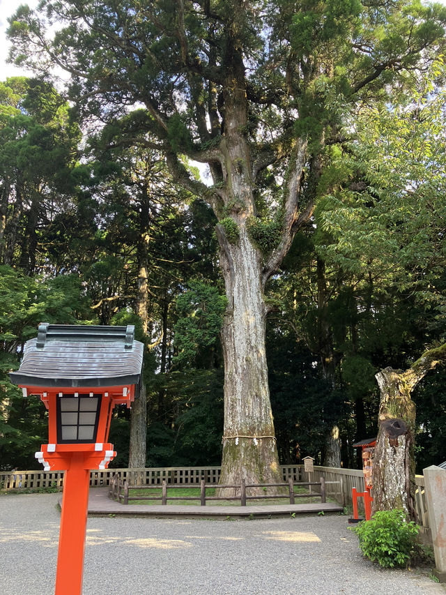 【鹿児島・霧島市】⛩️霧島神宮🏺黒酢ガーデン壺畑〜霧の聖地と黒酢壺の歴史旅〜