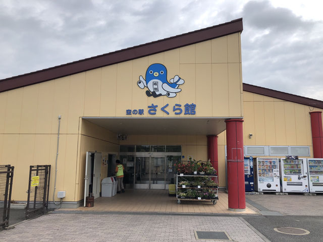 成田空港の飛行機が近い空の駅✈️