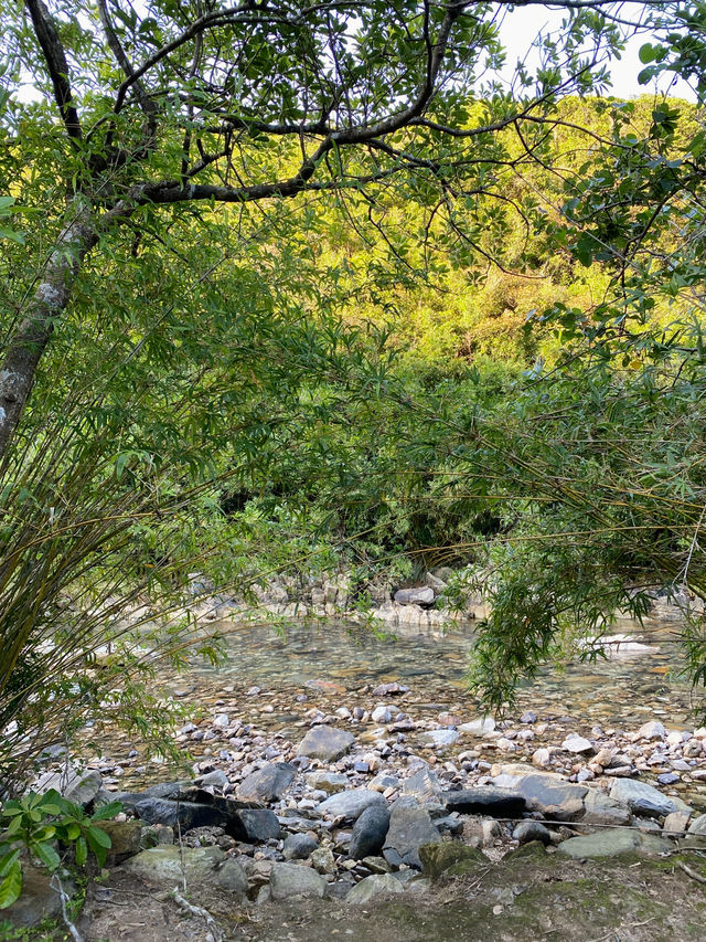 香港｜雙鹿石澗——四壘潭瀑布 ⛰️ 