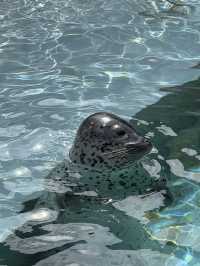北海道 旭山動物園