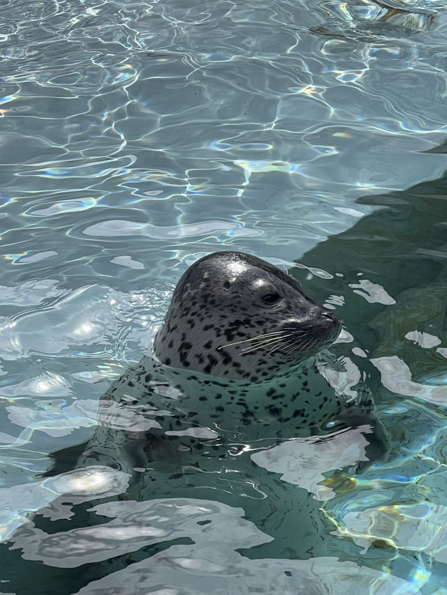 北海道 旭山動物園