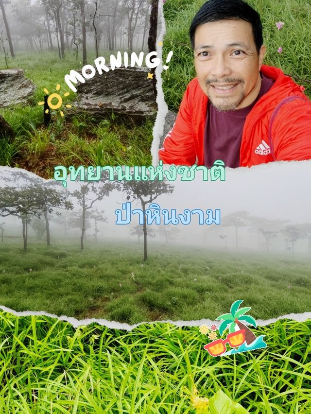 ชมทุ่งกะเจียวตัดกับพื้นสีเขียวที่ป่าหินงามยามฝน