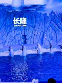 珠海•長隆海洋王國之旅