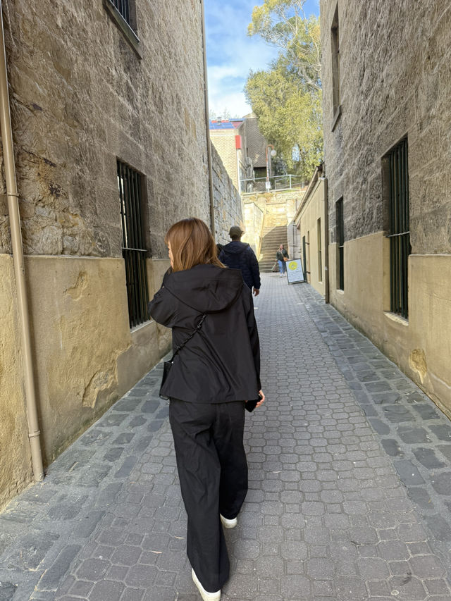 🇦🇺 薩拉曼卡市集（Salamanca Market）** 是霍巴特乃至整個塔斯馬尼亞最負盛名的必體驗項目。