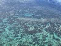 【沖縄】沖縄本島中部 絶景スポット