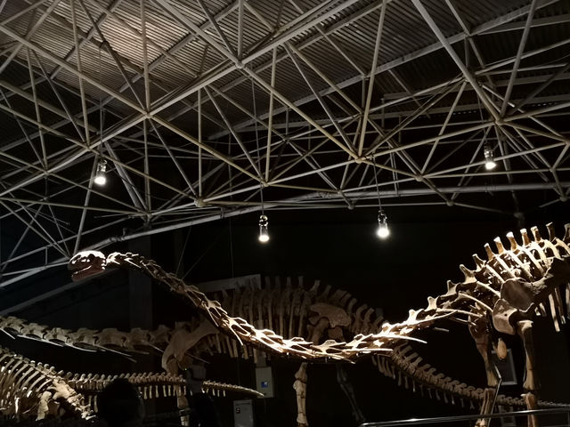 The Great Wall of Dragon Bones