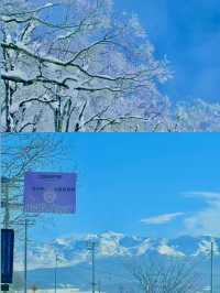 โ๏ธ๋ ๋ด๋ฆฌ๋ ์ฟํฌ๋ก์์ ์ผ๋ผ๋๊พธ๋ก ๋ชธ ๋
น์ด๊ธฐ๐ฅ