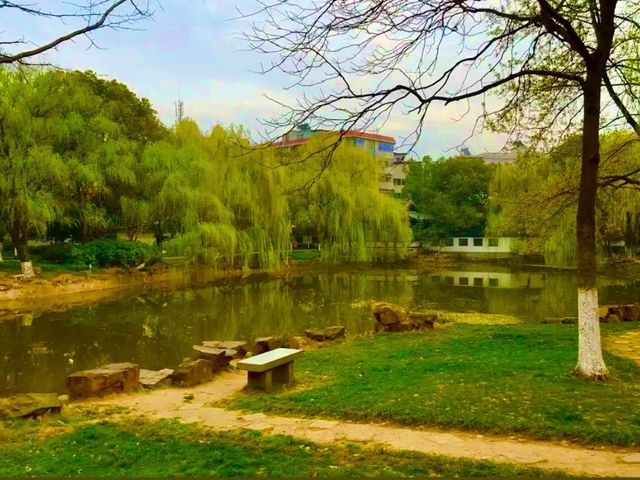 Luobinwang Park: A Cultural Tribute in Yiwu