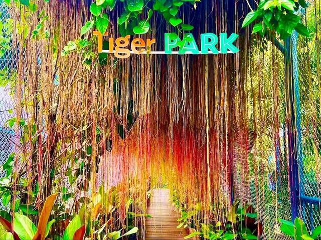 與猛獸近距離接觸的芭提雅老虎園 Tiger Park Pattaya