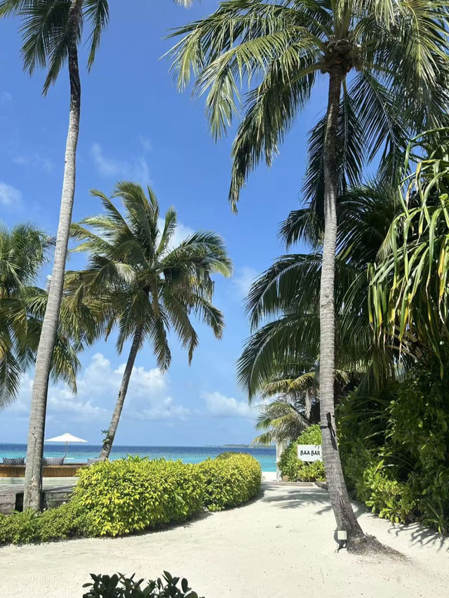 Amilla Maldives Resort & Residences🌴🇲🇻✨