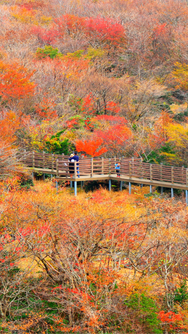 ที่เกาะเชจู พิกัดที่ต้องมา 