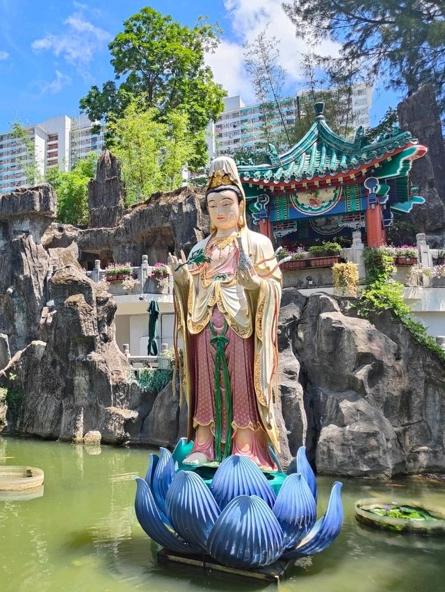 ขมสวนสวยหลังวัดหวังต้าเซียน🌿🌷