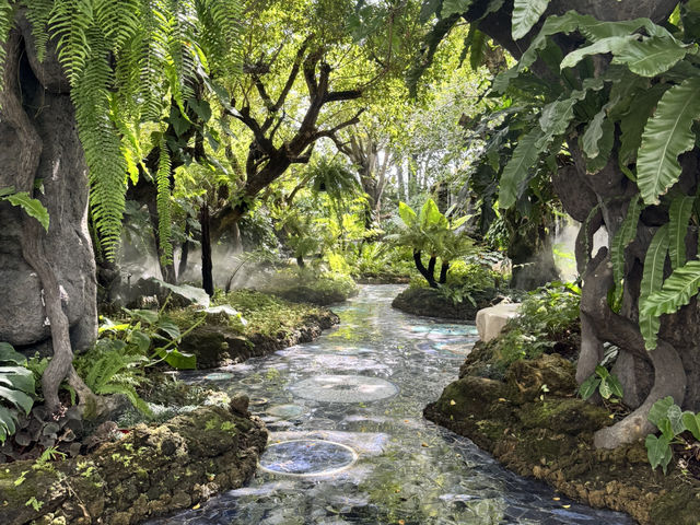  ⸻  🌳☕ Type Tree Café & Restaurant – คาเฟ่สวนร่มรื่