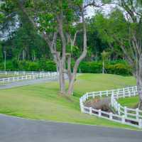 สวนสาธารณะ อบจ. เชียงใหม่ 