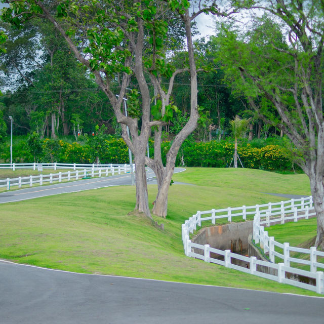 สวนสาธารณะ อบจ. เชียงใหม่ 