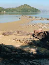 香港｜船灣郊野公園｜香港秋景名所｜船灣淡水湖畔的自然風光