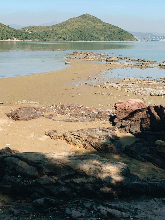 香港｜船灣郊野公園｜香港秋景名所｜船灣淡水湖畔的自然風光