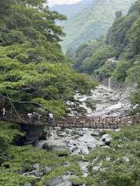 【スリル満点!徳島の秘境スポット🌉✨】