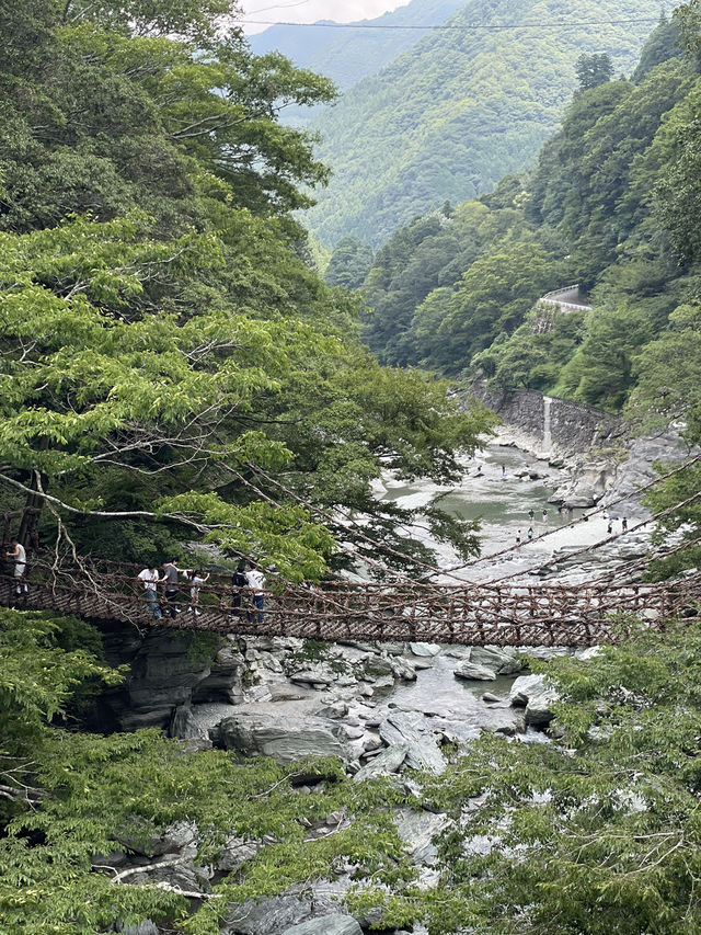 【スリル満点!徳島の秘境スポット🌉✨】 【スリル満点!徳島の秘境スポット🌉✨】