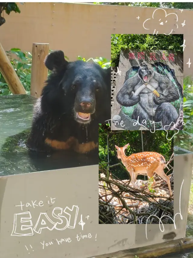 很值得去的一個動物園真的大開眼界🦧🐆🦩🦫