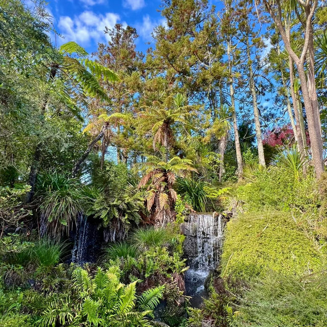 Ayrlies Garden – Auckland’s Subtropical Paradise