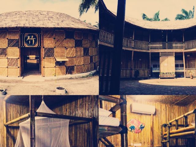 Serene Retreat🌳