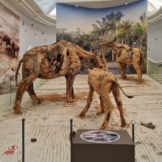 West Coast Fossil Park – A Prehistoric Treasure of South Africa